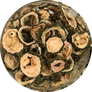 dehydrated-karela-supplier-in-hyderabad