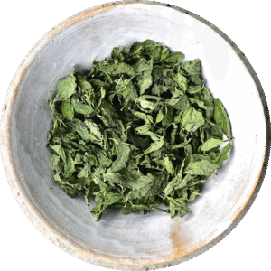 dehydrated-mint-leaves-supplier-in-hyderabad